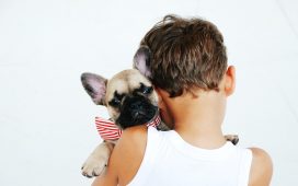 Cel mai bun prieten al omului - De ce sunt câinii atât de speciali? Ştiinţa ne dă răspunsul