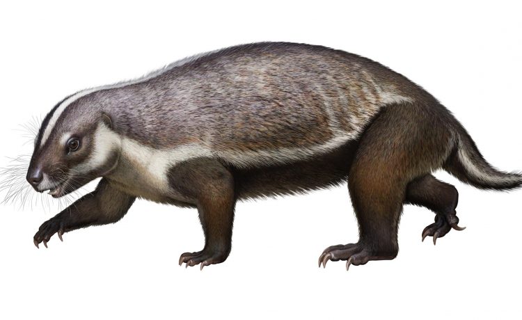 „Fiara nebună”, o fosilă veche de 66 de milioane de ani din era dinozaurilor