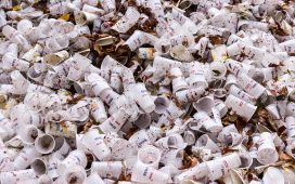 Aproape un miliard de tone de deșeuri de plastic vor fi aruncate pe uscat și pe mare până în 2040