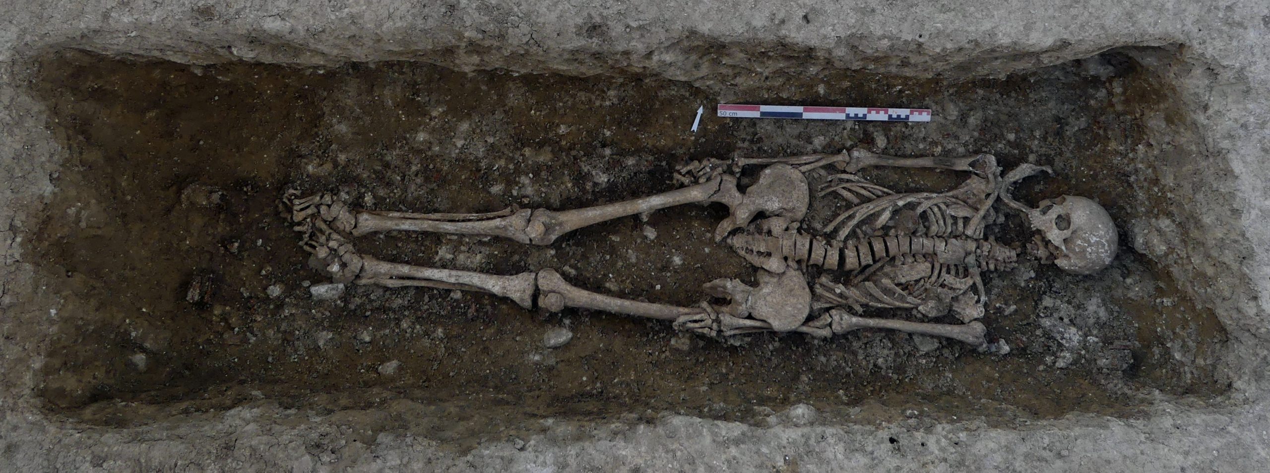 Un cimitir celtic din Epoca Fierului a fost descoperit în Franța | Explicația cercetătorilor