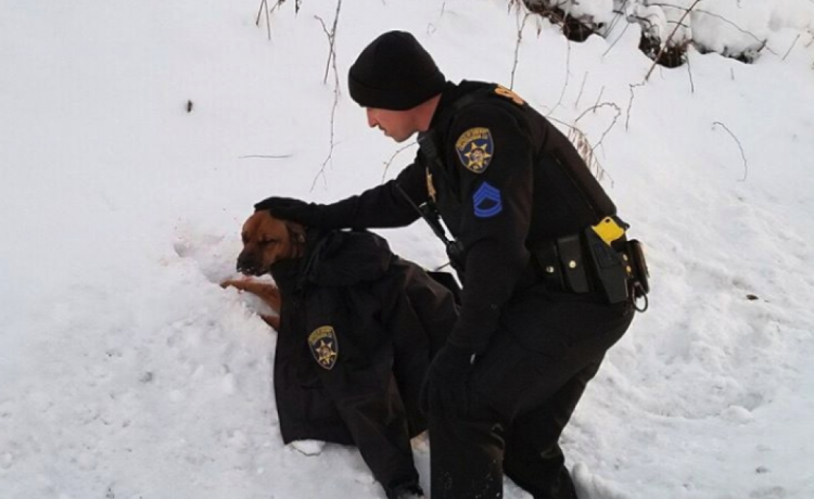 Ofiţerul de poliţie acoperă cu haina lui câinele lovit de maşină până la sosirea ajutoarelor