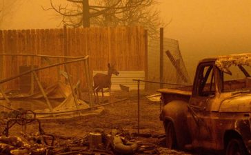 Mii de rezidenți din California au ordin să evacueze! Incendiul Dixie a mistuit jumătate de milion de acri de teren!