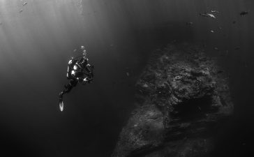 Misteriosul „fund fals” al zonei Twilight din Ocean